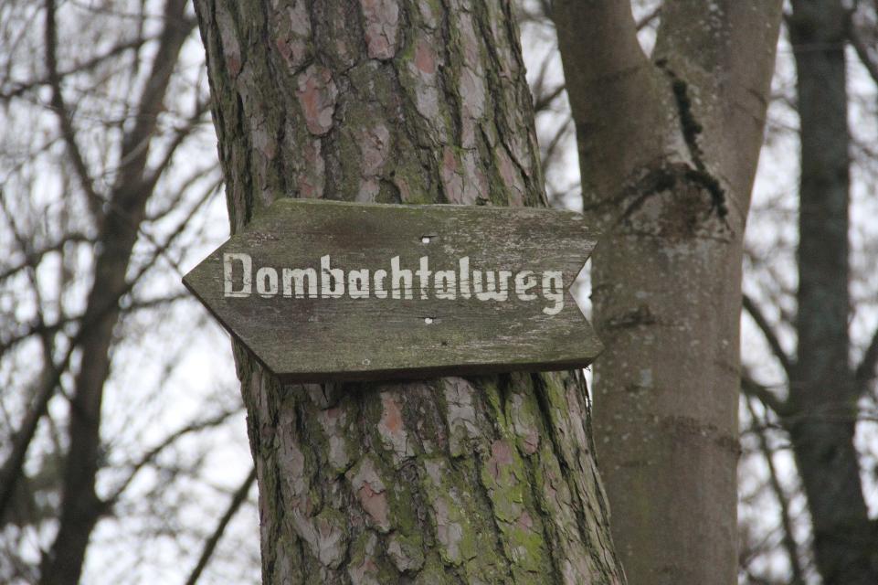 Kleine Wanderung durchs Dombachtal nach Elpersdorf und zurück