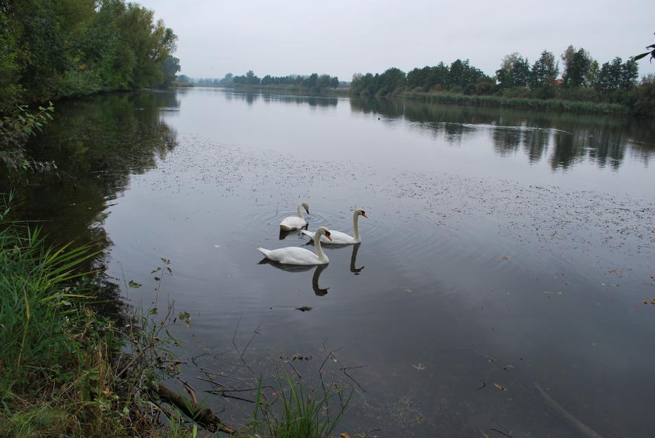 Fischwasser: 11 km Gewässerstrecke an der Wörnitz sowie am Camping-See 