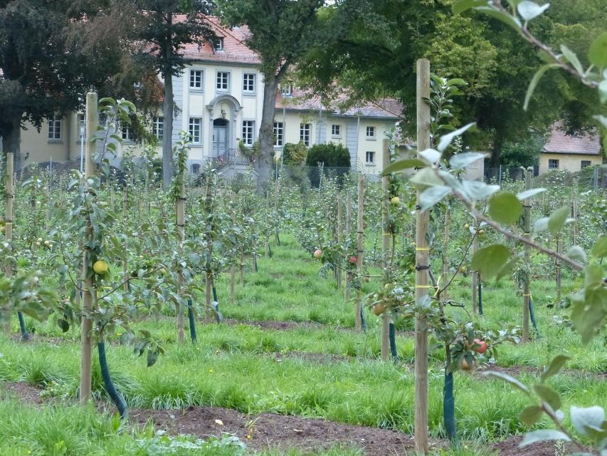 In Triesdorf wird um die Begriffe Landwirtschaft, Lebensmittel, Ernährung, Umwelt und Energie gelehrt. Die Erzeugnisse aus den praktischen Einrichtungen, sei es der Obstbau oder die Geflügelhaltung, werden in Triesdorf verarbeitet und vertrieben.