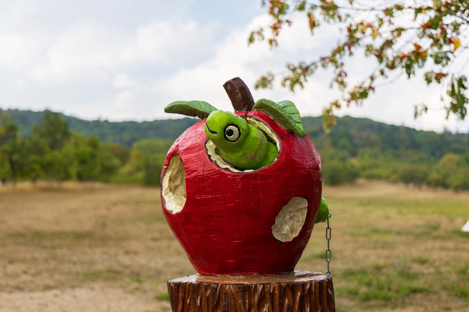 aus Holz geschnitzter Apfel mit Wurm