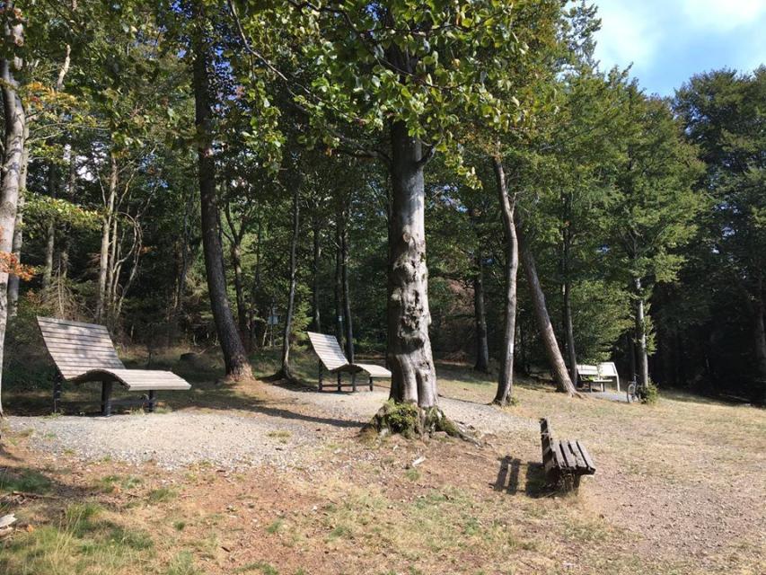 Naturpark Frankenwald - 