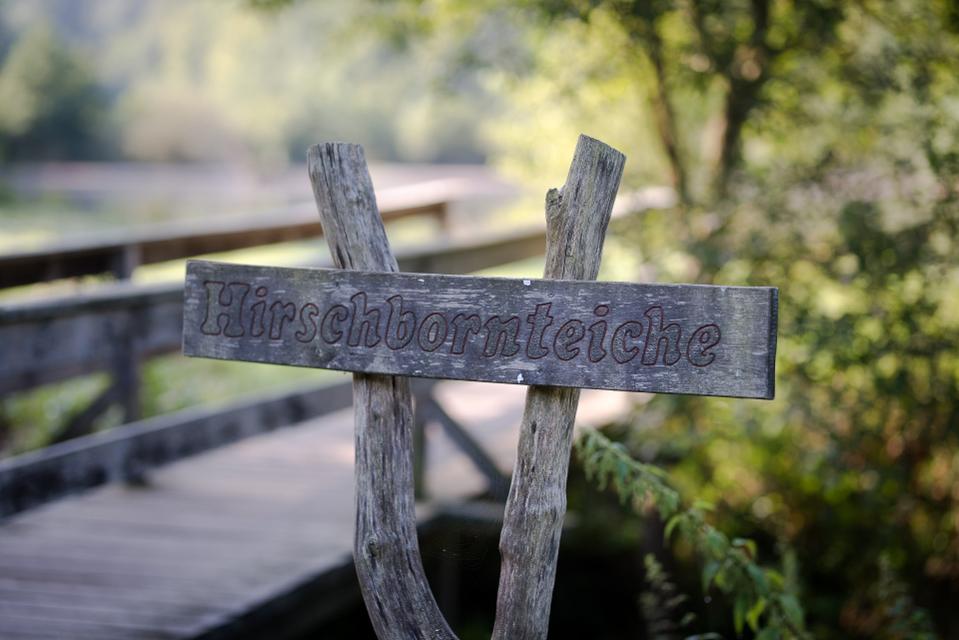 Die Spessartspur "Wildromantische Hirschbornteiche" (5 km) ist ein herrlicher Waldwanderweg entlang der romantischen Hirschbornteiche und durch herrliche Laubwälder des Naturpark
                 title=
