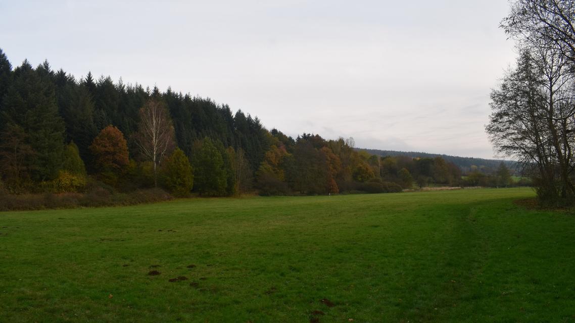 Die Spessartfährte "Brachttaler Steingut-Panorama" ist ein 11,7 Kilometer langer Rundwanderweg. 