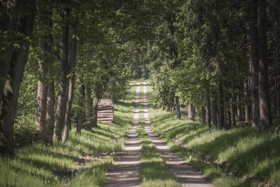 Die 6 Kilometer lange Strecke verläuft ein Stück weit auf dem Fernwanderweg "Spessartbogen" und dem "Eselsweg". Die Möglichkeit zur Rast besteht am idyllisch gelegenen Sölchesweiher. Zum 