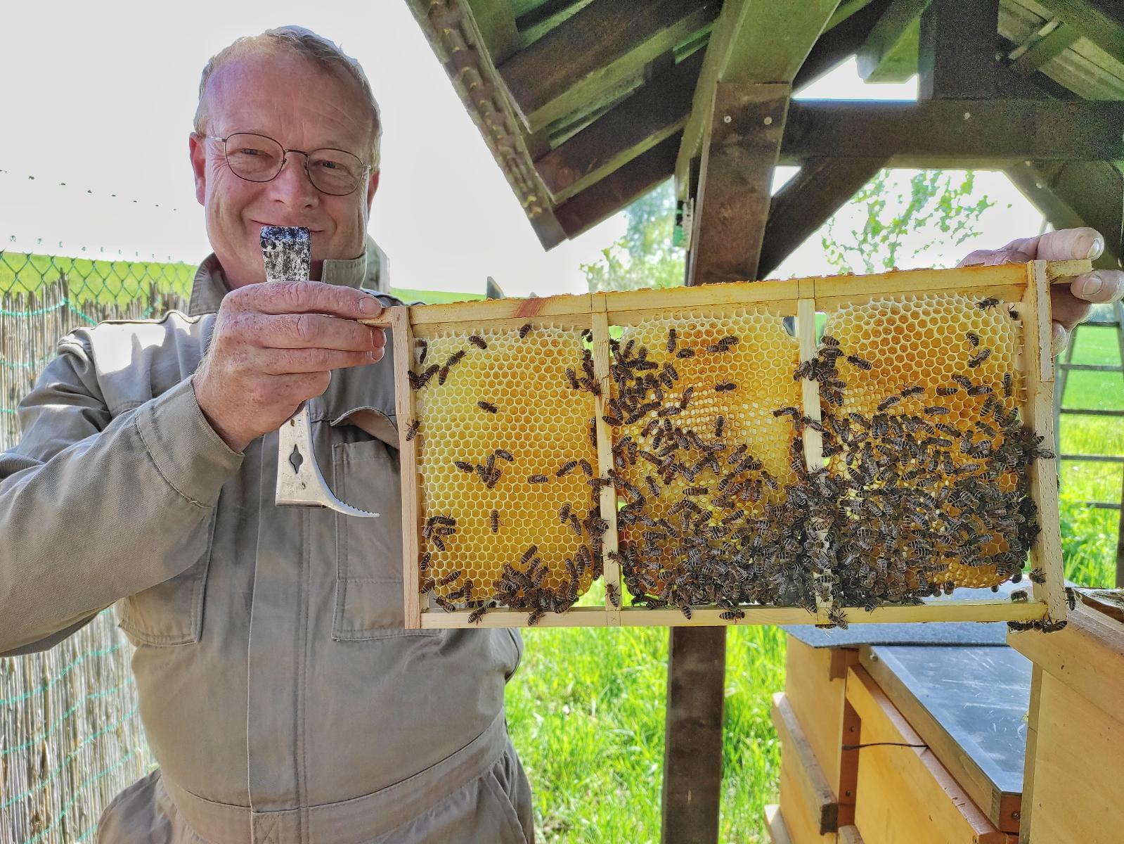 Die Imkerei Holger Kleiß in Bruchköbel bietet Honig, Wabenhonig sowie weitere selbst gemachte Bienenprodukte an. 