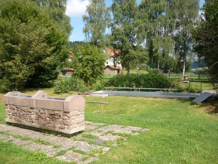 Die Kneippanlage befindet sich im Burgwiesenpark und besteht aus jeweils einem Kneippbecken für Arm- und Fußanwendungen.