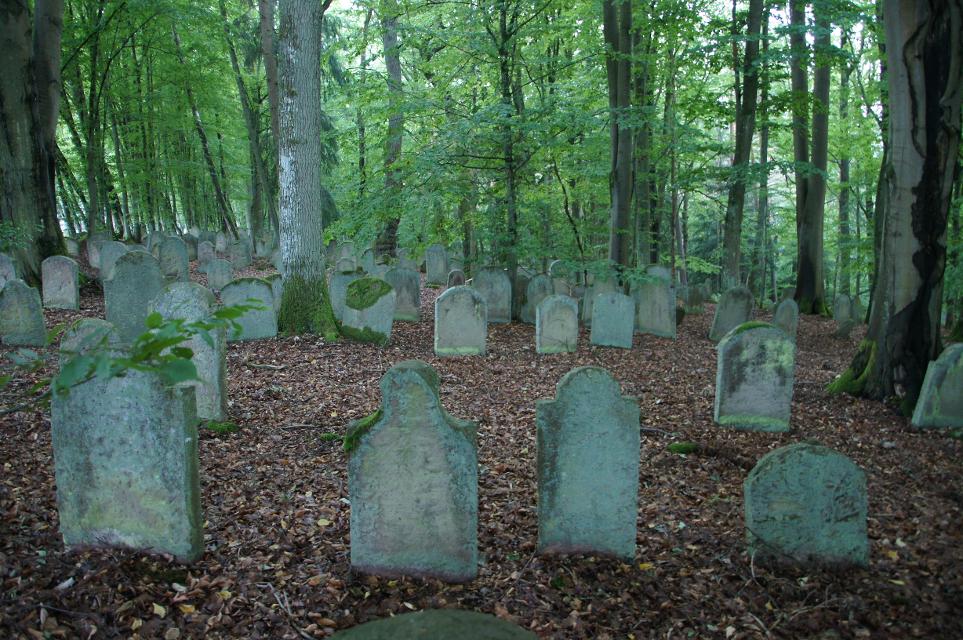 Der jüdische Friedhof in Altengronau 