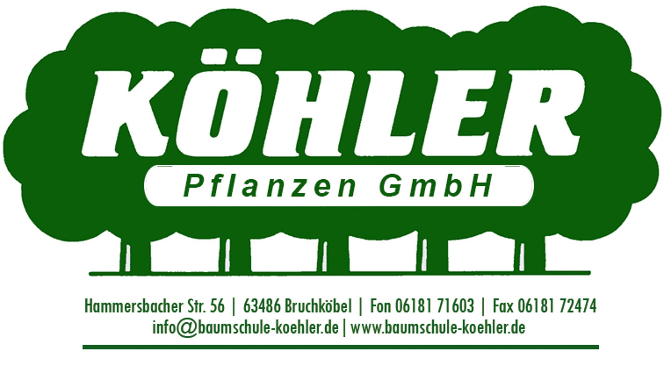 In der Baumschule Köhler in Bruchköbel ist eine große Auswahl an hochqualitativen regionalen Obstsorten, Alleebäumen, Rosen, Stauden, Sträuchern, Schlingpflanzen und Bodendeckern zu finden. 