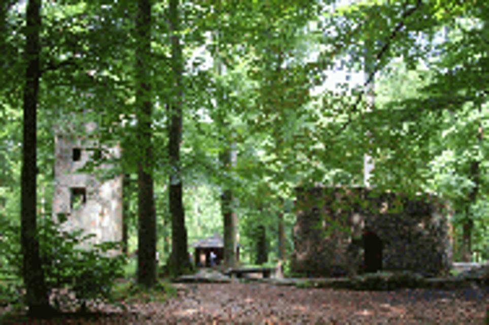 Im Wald zwischen Rodenbach - Niederrodenbach und Hanau - Wolfgang an der Zufahrt zum Forstamt gelegen. Parkplatznummer: 71 