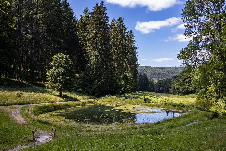 Der Spessartweg 3: Zwei traditionsreiche Heilbäder, Naturschutzgebiete, eines der schönsten Spessart ein Moor, Wildparks und die weiten Wälder des Naturpark Spessart. 