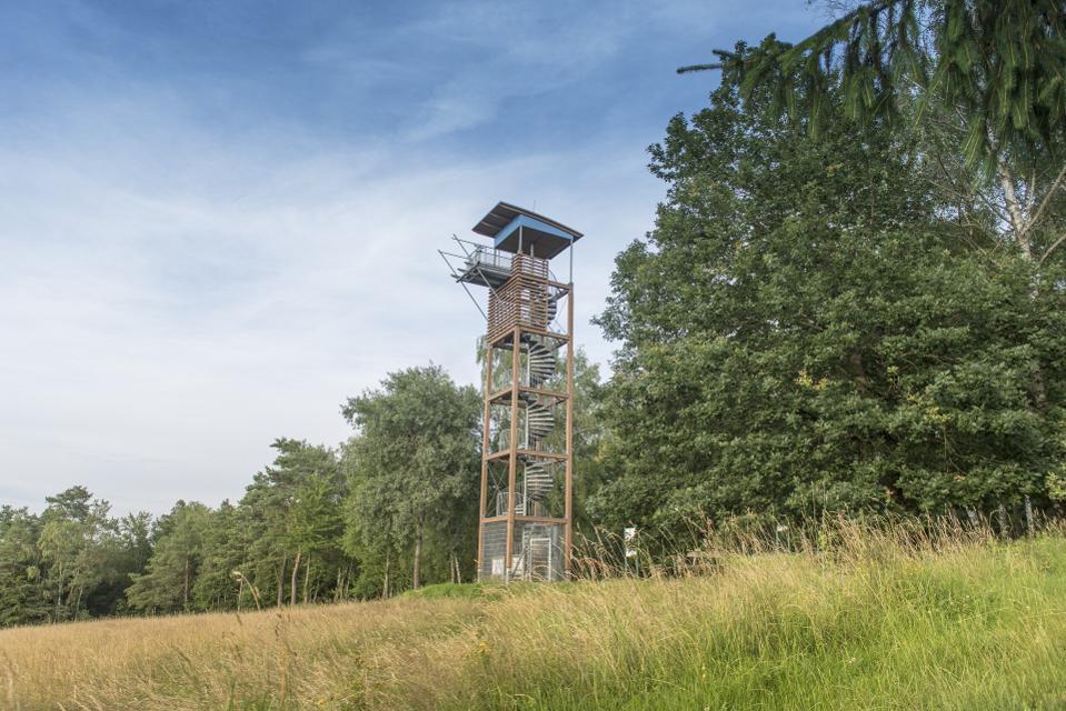 Am Waldrand, auf dem Rodfeld, entstand 2000 zur 1000-Jahr-Feier des Ortsteils Neuses ein Aussichtsturm.
