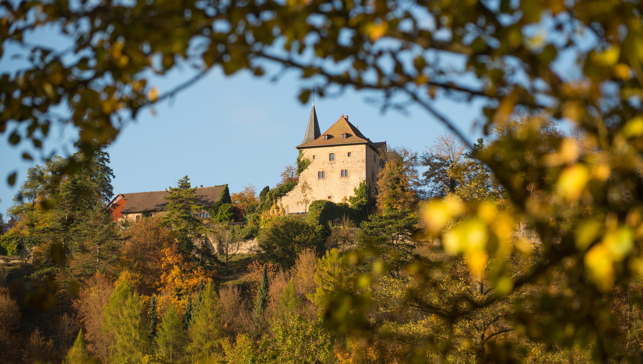 Burgen und Schlösser im SpessartDer Spessart präsentiert nicht nur eine malerische Kulisse mit atemberaubender Natur, sondern auch ein reichhaltiges kulturelles Angebot. Die Burgen im Spessart sind fü...