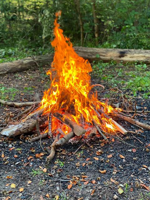 Lagerfeuer, Natur entdecken, Geschichten hören, Wald erleben, Harfe lauschen, Stockbrot