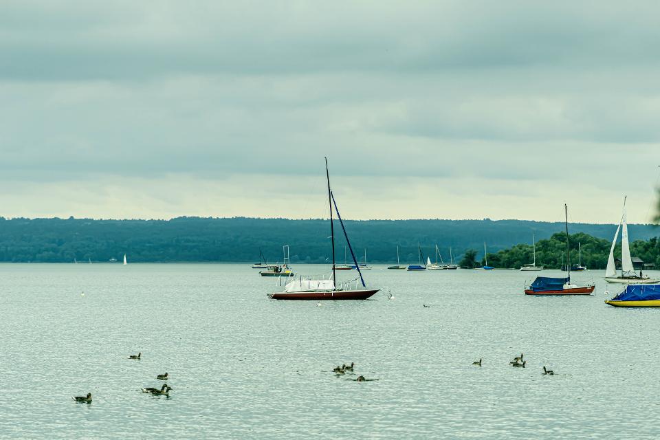 Enten und Boote auf dem Ammersee