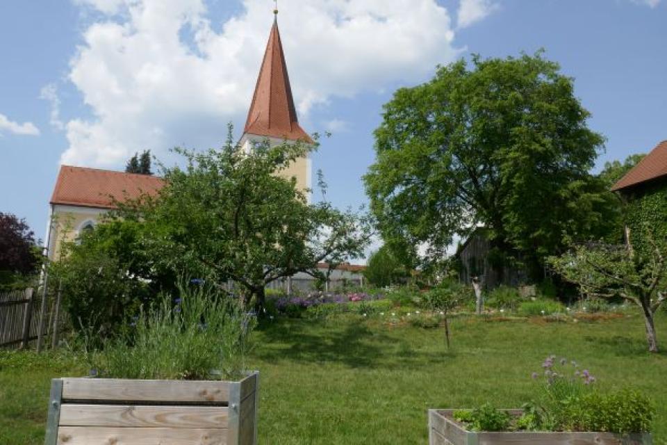 Der Kreislehrgarten Loderbach bietet viele Anregungen für den eigenen Garten und zeigt eine reiche Auswahl an Obstsorten und Obsterziehungsformen. 