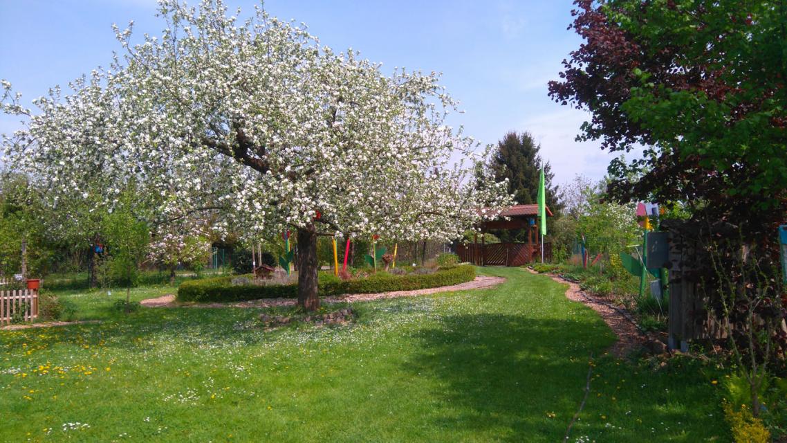 Der Umwelt-und Lehrgarten des Obst- und Gartenbauvereins Stockstadt bietet zu vielen Gartenthemen anschauliche Praxisbeispiele, auch zu Urban Gardening. Im Garten befindet sich eine große Obstanlage. Der Lehrgarten ist als Naturgarten zertifiziert. 