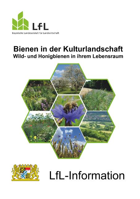 Informationen zu Biologie und Bedeutung von Honig- und Wildbienen, Überblick über verschiedene Lebensräume, praktische Tipps zur Förderung. 