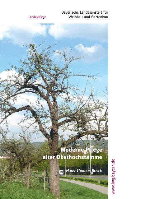 Erläuterung einiger Standards zur fachgerechten Pflege alter Obstbäume, angelehnt an die Regeln und Begriffe der modernen Baumpflege.