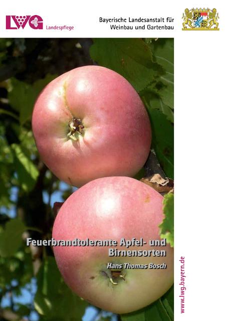 Ergebnisse eines Forschungsprojektes im Bodenseegebiet - Suche nach feuerbrandtoleranten Apfel- und Birnensorten.  