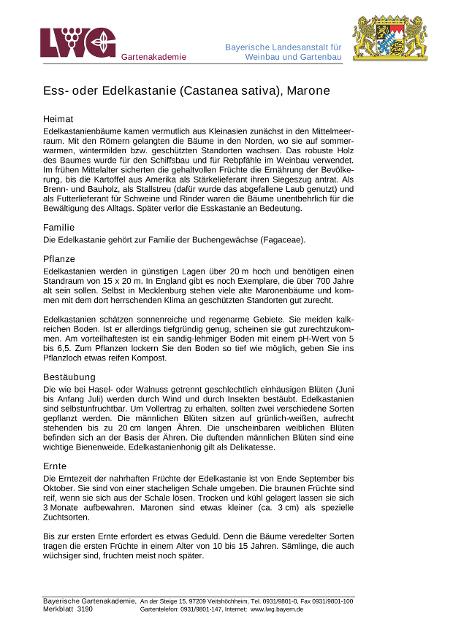 Infoschrift der Bayerischen Gartenakademie zur Ess- oder Edelkastanie (Castanea sativa) mit kompakter Auflistung der wesentlichen Informationen. 