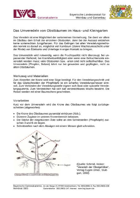 Infoschrift der Bayerischen Gartenakademie mit wesentlichen Hinweisen zum Umveredeln von Obstbäumen in kompakter Form. 