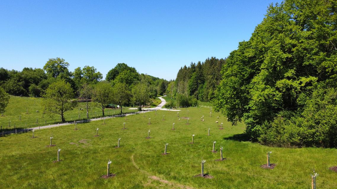 Sortenerhaltungsgärten in Hohenberg bei Seeshaupt. Auf zwei Teilflächen wurden bisher 200 Hochstammobstbäume aufgepflanzt, u. a. mit 90 verschiedenen Apfelsorten. 
