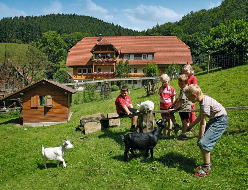 Bad Peterstal, OT Freiersbach (400 – 1000 m ü. M), ist ein bekannter heilklimatischer Kur- und Erholungsort im landschaftlich besonders reizvollen Renchtal im mittleren Schwarzwald. Der Kurort verfügt über alle Einrichtungen eines modernen Badeort...