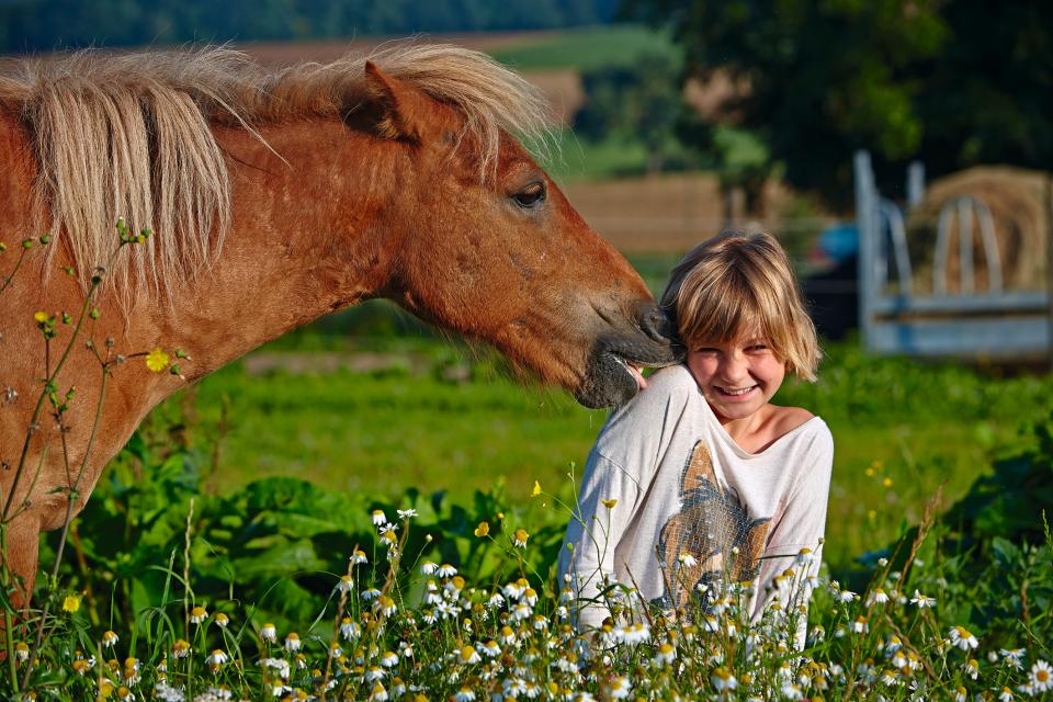 Glückliche Pferde – glückliche Menschen Der Urlaubsreiterhof Trunk bietet für Sie auf einer Hoffläche von ca. 18.000 qm in der idyllischen Landschaft des lieblichen Taubertales alles was das Kinder- und Elternherz erfreut! 36 Pferde, Ponys, Fohlen...