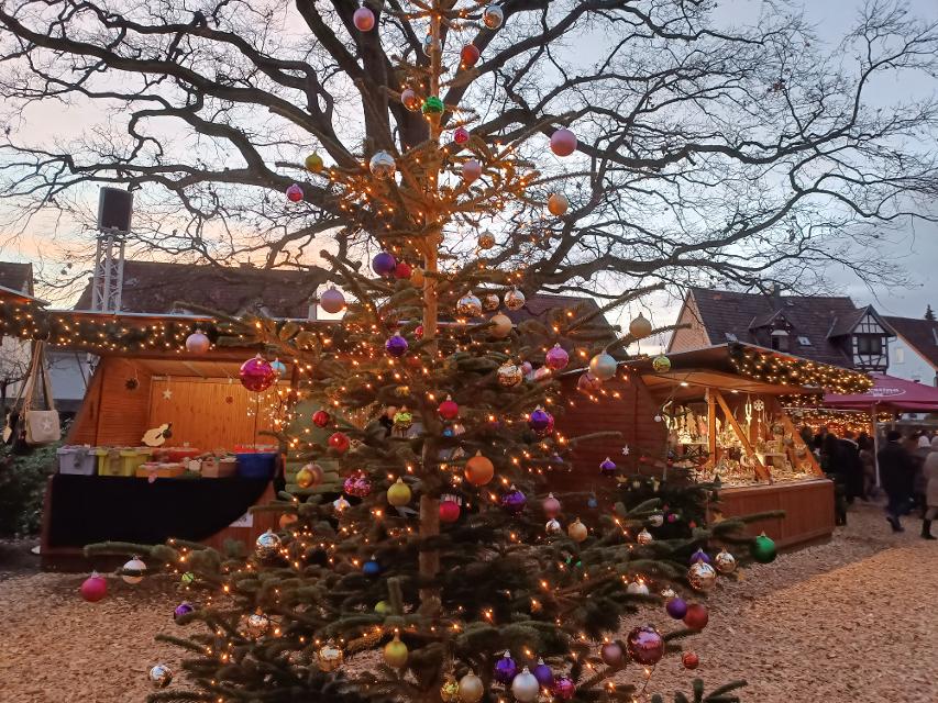 Lauterbach freut sich auf seinen Weihnachtsmarkt im Hohhaus-Garten! Vom 6.-8. und vom 13.-15. Dezember werden wieder Weihnachtsbuden, geschmückte Bäume, Glühwein und Lichterzauber auf zahlreiche Besucher warten. 
