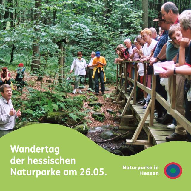 Erleben Sie den Wald von einer ganz neuen Seite! Der Naturpark Vogelsberg und das Forstamt Schotten laden dazu ein, den Lebensraum Wald zu erforschen.