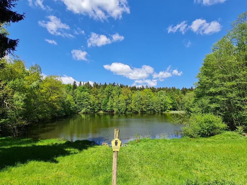 Ruhig inmitten des Landschaftsschutzgebiet Greiz – Werdauer Wald gelegen befindet sich der Schlötenteich im Schlötengrund
Ca. 1,5 km von Waldhaus, einem Ortsteils von Mohlsdorf-Teichwolframsdorf, befindet sich im Schlötengrund der Schlötenteich. Ein wunderschöner kleiner See, der für eine Rast ei...