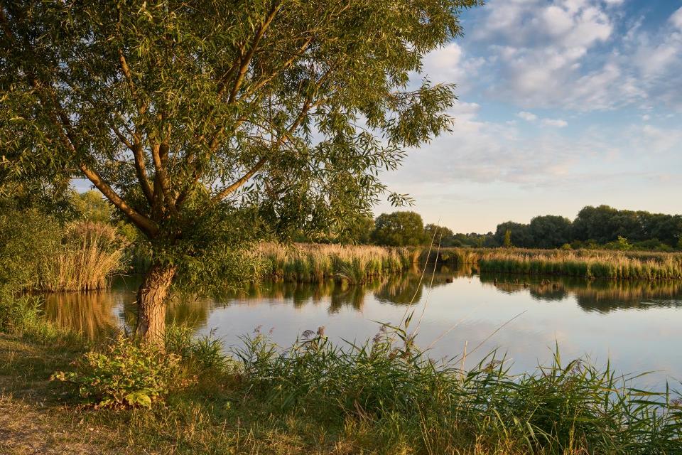 Der See liegt rund einen Kilometer südwestlich von Mühlhausen, südlich des Schwanenteiches auf der Thomaswiese. Im Süden befindet sich das Hofgut Weidensee. Dem Thomasteich entspringt der Felchtaer Bach, welcher der Unstrut zufließt.
Der Thomasteich wurde im Jahre 1607 im Quellgebiet eines Baches...