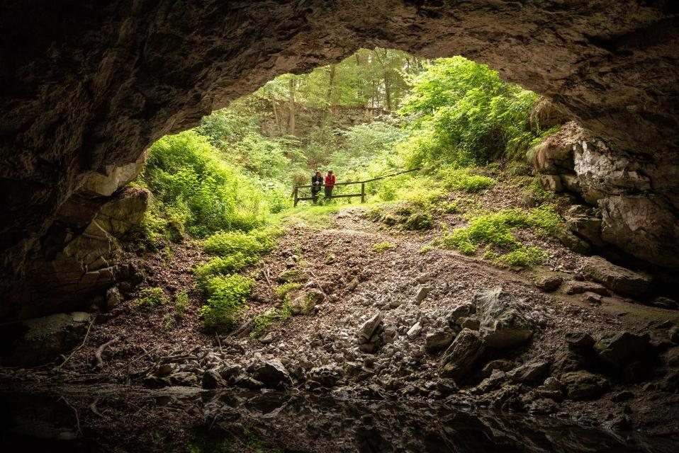 Die Kelle ist eine Gipshöhle bei Appenrode und liegt in der faszinierenden Karstlandschaft des Naturparks Südharz. Als nördlichster der acht Nationalen Naturlandschaften in Thüringen begeistert der Naturpark Südharz mit seiner Landschaftsvielfalt....