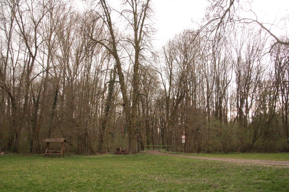 Bei dem Schlosspark von Kleinballhausen handelt es sich um eine Hof- und Parkanlage aus dem Anfang des 12. Jh. mit wechselhafter Geschichte. Der Schlosspark in Kleinballhausen lädt mit seinem alten Baumbestand, den Wasserläufen und Teichen zu Spaz...