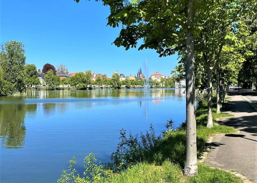 In einem malerischen Grün begrüßt Sie der Große Teich in Altenburg mit seiner Teichpromenade. Ein Wahrzeichen der Stadt ist der bekannte 
Inselzoo
auf der im 18. Jahrhundert aufgeschütteten Insel. Ursprünglich gab es seit dem 12. Jahrhundert einen...