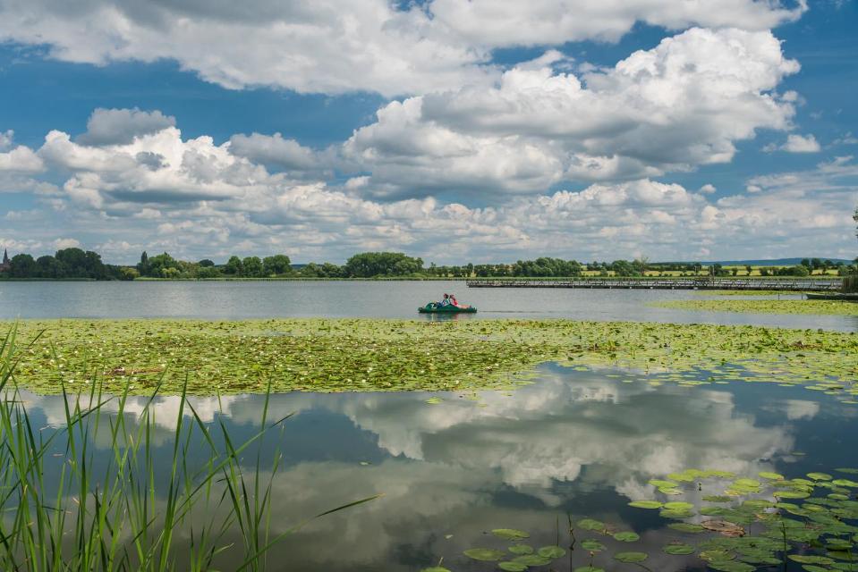 Der Seeburger See, einer der größten Naturseen Niedersachsens mit seinem ungetrübten Badespaß und einer artenreichen Tierwelt in den geschützten Uferregionen, ist auf jeden Fall einen Besuch wert. Am, auf und im Seeburger See, dem 