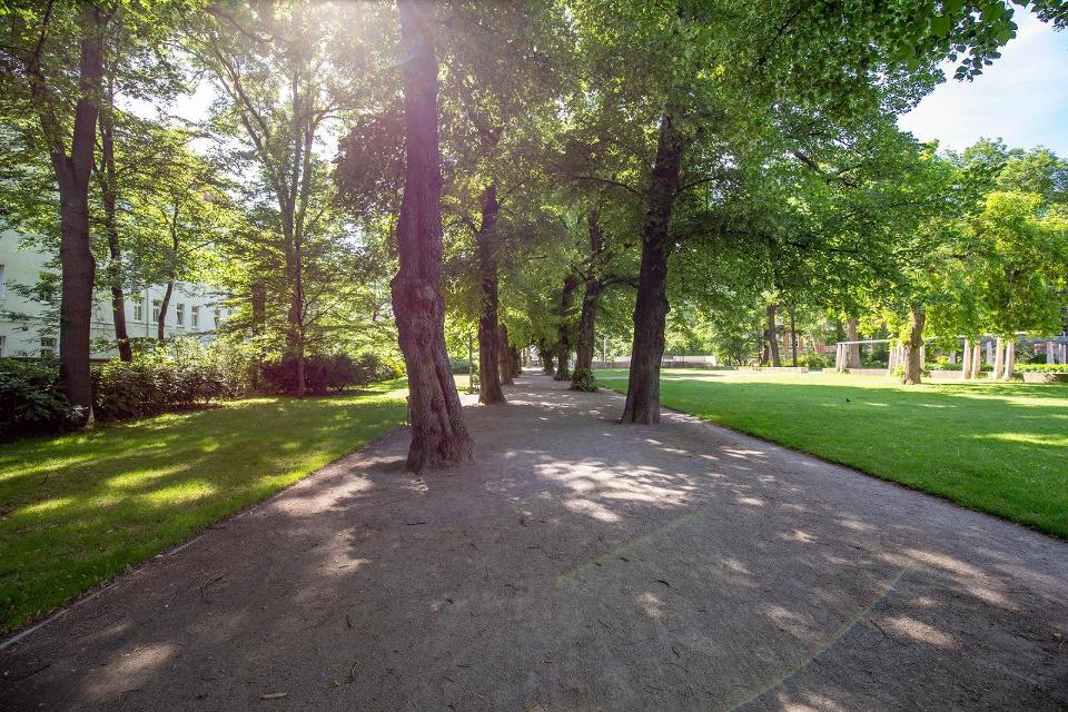 Der historische Brühler Garten wurde erst im Jahre 1940 zu einem Stadtpark umgestaltet. Zuvor war er über viele Jahre hin ein Kurgarten, davor ein vom Mainzer Statthalter Boyneburg genutzter Lustgarten. Zwischenzeitlich wurden auf dem Gelände imme...
