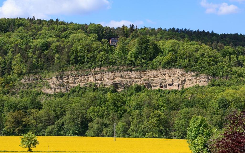 Der Blick auf ein Stück Thüringer Geschichte
Etwas außerhalb des Ortes Buchfart befindet sich 
die Felsenburg. Die am Muschelkalk-Steilhang der Ilm gelegene Burg ist die einzige Höhlenburg Thüringens. In Mitteldeutschland und darüber hinaus ist si...