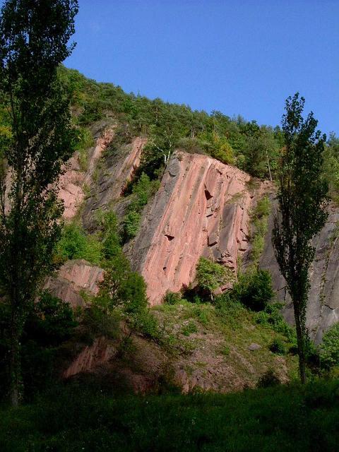 Der Bohlen ist eine etwa 800 Meter lange und bis 100 Meter hohe Felswand am rechten Ufer der Saale zwischen Saalfeld und Obernitz. Die vorwiegend natürlich entstandene Steilwand wird aus variszisch gefalteten und geschieferten marinen oberdevonisc...