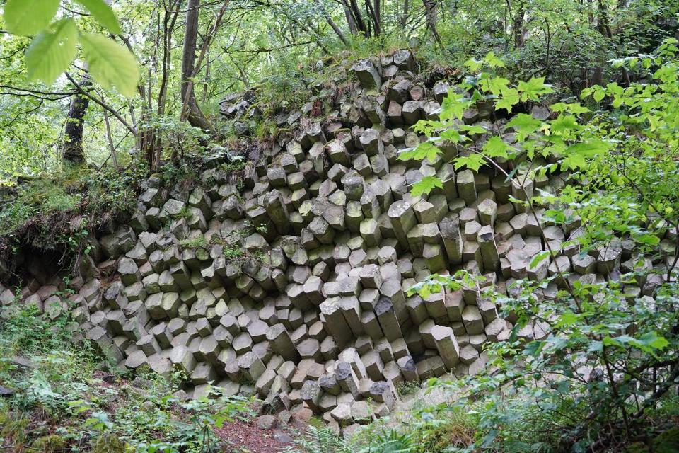 Das Naturwaldreservat am Gangolfsberg ist Teil der 
Kernzone des Biosphärenreservates Rhön. Besonders eindrucksvoll ist das Vulkangestein an der „Prismenwand“. Hier ist der Basalt zu Säulen erstarrt und gekippt, und man könnte annehmen, jemand habe diese fein säuberlich aufeinandergestapelt. Unte...